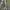 OOTJ Vintage Y2K Casual pants Pria gray photo 2