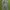 OOTJ Vintage Y2K Casual pants Pria gray photo 1