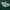 Heineken Y2K Casual T-shirt Pria green photo 5