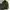 Wacko Maria Vintage Biker Parka Pria green photo 1