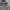 VANS Vintage Streetwear Hoody Pria White