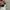VANS Vintage Streetwear Hoody Pria white photo 5