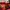 The North Face Y2K Gorpcore Fleece Pria red gray photo 4