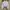Minimalist Futurist Crop top Wanita white photo 1