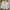 ZARA Casual Shirt Wanita white photo 1
