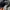 MLB Streetwear Sportswear Jumper Pria gray photo 6