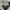 MLB Streetwear Sportswear Jumper Pria gray photo 5