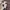 Stussy Casual Short Pria multicolor photo 5