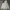 Uniqlo Minimalist Hoody Kids gray photo 2