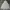Uniqlo Minimalist Hoody Kids gray photo 3