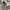 Carhartt Casual Hoody Pria gray photo 3