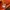 Carhartt Casual Sweater Pria multicolor photo 5