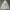 Dragon Ball Vintage Streetwear Hoody Kids gray photo 3