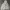 Dragon Ball Vintage Streetwear Hoody Kids gray photo 2