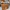 MCM Casual Bags & Purse Wanita Brown