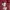 Uniqlo Minimalist Casual Sweater Kids red photo 4