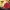 Uniqlo Minimalist Casual Sweater Kids red photo 5