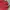 Uniqlo Minimalist Casual Sweater Kids Red