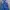 Dickies Casual Casual pants Pria navy photo 4
