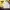 GAP Minimalist Casual Sweater Kids white photo 4
