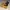 Timberland Streetwear Gorpcore Boots Pria tan brown photo 4