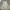 Shein Coquette Summer dress Wanita white photo 7