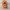 Adidas Vintage Sportswear Hat Pria orange black photo 1