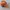 Adidas Vintage Sportswear Hat Pria orange black photo 2
