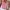 Shein Lolita Coquette Crop top Wanita pink photo 1