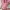 Shein Lolita Coquette Crop Top Wanita Pink