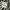 Mark Gonzales Streetwear Skater T-shirt Pria white black photo 4