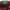 Vintage Streetwear Hat Pria burgundy yellow photo 5