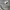 C.P. Company Vintage Casual Sweater Pria gray photo 2
