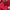 New Balance Y2K Casual Windbreaker Pria red photo 6