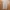Hangten Minimalist Casual Formal pants Pria tan photo 1