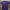 Dickies Casual T-shirt Pria purple photo 1