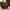 Bonia Luxury Shoulder bag Wanita brown photo 1