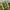 Casual Wanita green yellow photo 1