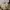 Casual Beach bag Wanita white tan photo 1