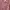 Minimalist Kemeja Kids pink photo 3
