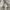 Uniqlo Avant Garde Casual Casual pants Pria white photo 5