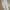 Uniqlo Avant Garde Casual Casual pants Pria white photo 2