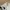 Uniqlo Avant Garde Casual Casual pants Pria white photo 4