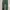Uniqlo Casual Casual pants Pria green photo 6