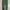 Uniqlo Casual Casual pants Pria green photo 6