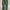 Uniqlo Casual Casual pants Pria green photo 1