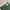 Uniqlo Casual Casual pants Pria green photo 4