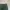 Uniqlo Casual Casual pants Pria green photo 8