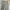 Uniqlo Casual Casual pants Pria tan photo 7