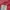 Under Armour Sportswear Casual T-shirt Wanita red photo 3